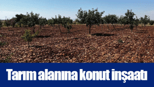 Tarım alanına konut inşaatı