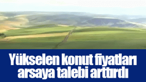 Yükselen konut fiyatları arsaya talebi arttırdı