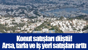 Konut satışları düştü! Arsa, tarla ve iş yeri satışları arttı