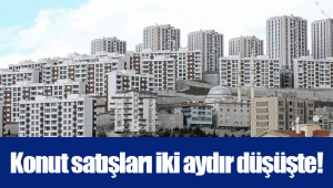 Konut satışları iki aydır düşüşte!