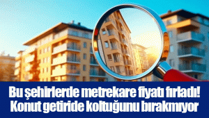 Bu şehirlerde metrekare fiyatı fırladı! Konut getiride koltuğunu bırakmıyor