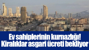 Ev sahiplerinin kurnazlığı! Kiralıklar asgari ücreti bekliyor