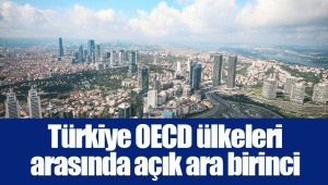 Türkiye OECD ülkeleri arasında açık ara birinci 