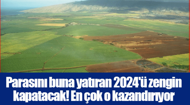 Parasını buna yatıran 2024'ü zengin kapatacak! En çok o kazandırıyor