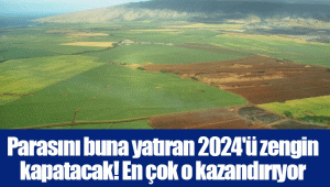 Parasını buna yatıran 2024'ü zengin kapatacak! En çok o kazandırıyor