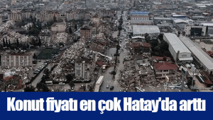 Konut fiyatı en çok Hatay'da arttı