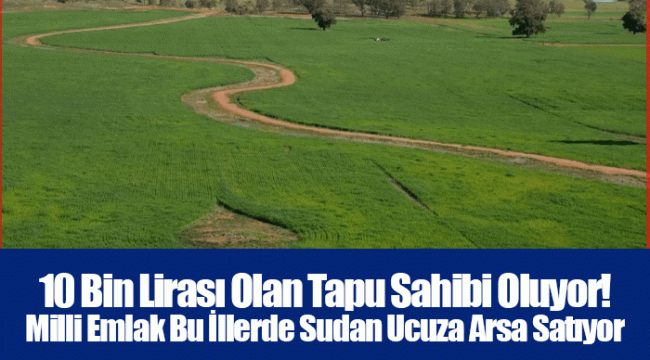 10 Bin Lirası Olan Tapu Sahibi Oluyor! Milli Emlak Bu İllerde Sudan Ucuza Arsa Satıyor