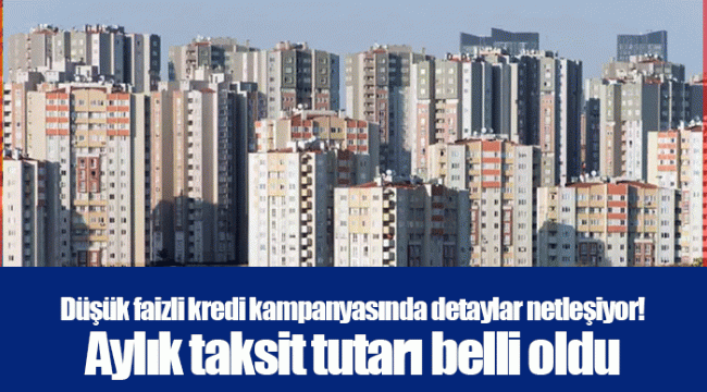 Düşük faizli kredi kampanyasında detaylar netleşiyor! Aylık taksit tutarı belli oldu