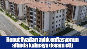 Konut fiyatları aylık enflasyonun altında kalmaya devam etti