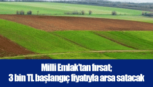 Milli Emlak’tan fırsat; 3 bin TL başlangıç fiyatıyla arsa satacak