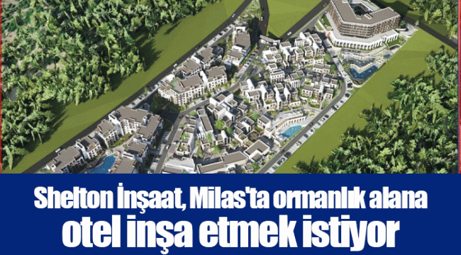 Shelton İnşaat, Milas'ta ormanlık alana otel inşa etmek istiyor