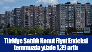 Türkiye Satılık Konut Fiyat Endeksi temmuzda yüzde 1,39 arttı