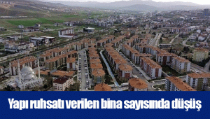 Yapı ruhsatı verilen bina sayısında düşüş