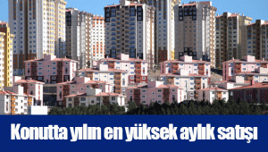 Konutta yılın en yüksek aylık satışı