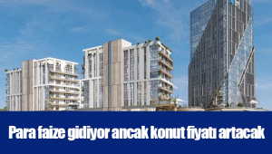 Para faize gidiyor ancak konut fiyatı artacak