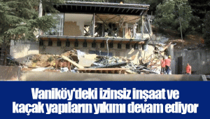 Vaniköy'deki izinsiz inşaat ve kaçak yapıların yıkımı devam ediyor