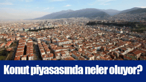 Konut piyasasında neler oluyor?