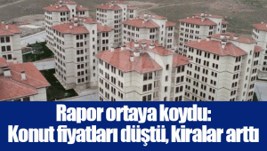 Rapor ortaya koydu: Konut fiyatları düştü, kiralar arttı