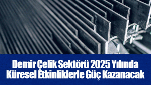 Demir Çelik Sektörü 2025 Yılında Küresel Etkinliklerle Güç Kazanacak