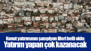 Konut yatırımının şampiyon illeri belli oldu: Yatırım yapan çok kazanacak