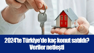 2024'te Türkiye'de kaç konut satıldı? Veriler netleşti .