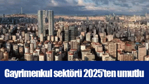 Gayrimenkul sektörü 2025’ten umutlu