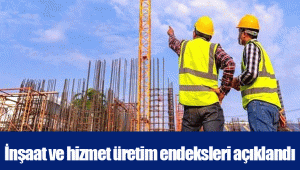 İnşaat ve hizmet üretim endeksleri açıklandı