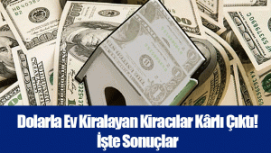 Dolarla Ev Kiralayan Kiracılar Kârlı Çıktı! İşte Sonuçlar