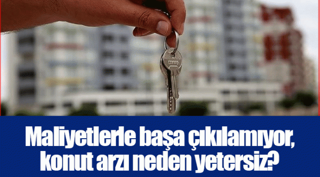 Maliyetlerle başa çıkılamıyor, konut arzı neden yetersiz?