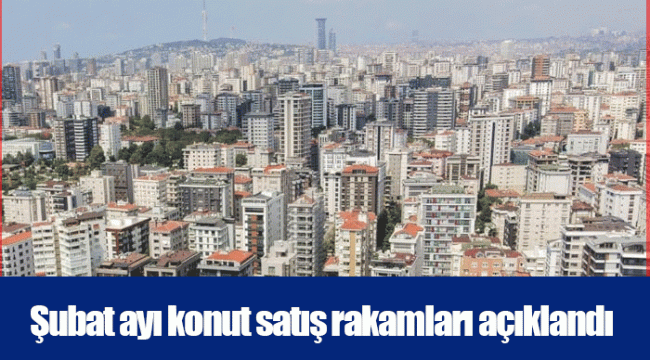 Şubat ayı konut satış rakamları açıklandı